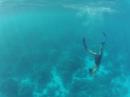 Matthew Free Diving: Free diving the south pass at Fakarava 
